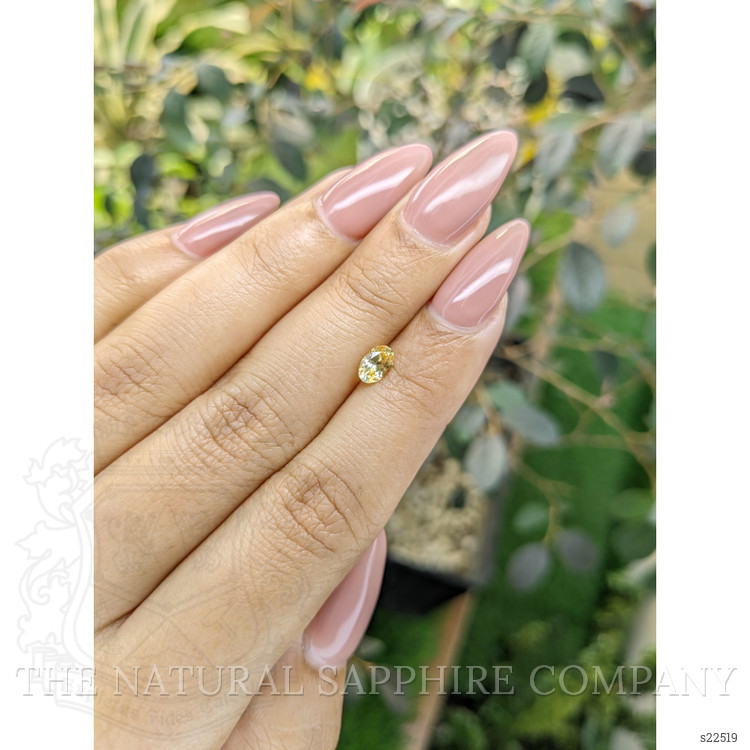 0.59 Ct. Yellow Sapphire from Ceylon (Sri Lanka)