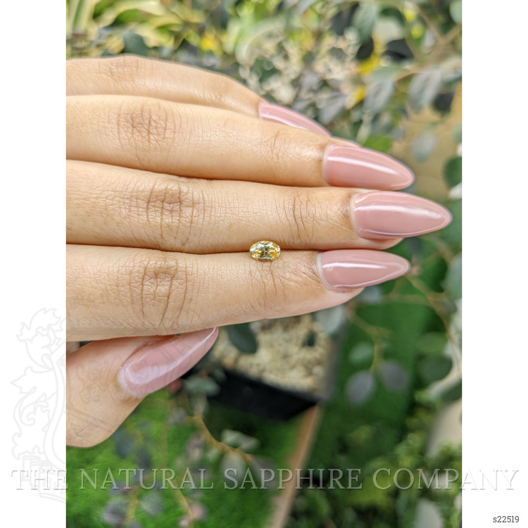 0.59 Ct. Yellow Sapphire from Ceylon (Sri Lanka)