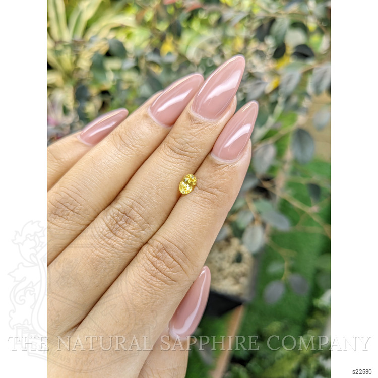 0.55 Ct. Yellow Sapphire from Ceylon (Sri Lanka)