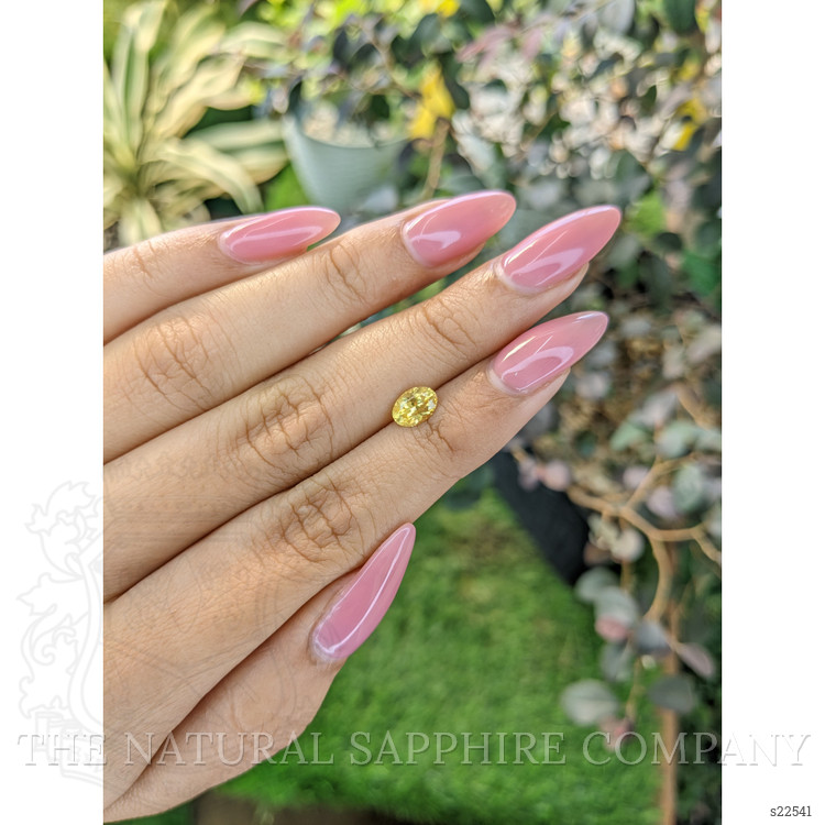 0.90 Ct. Yellow Sapphire from Ceylon (Sri Lanka)