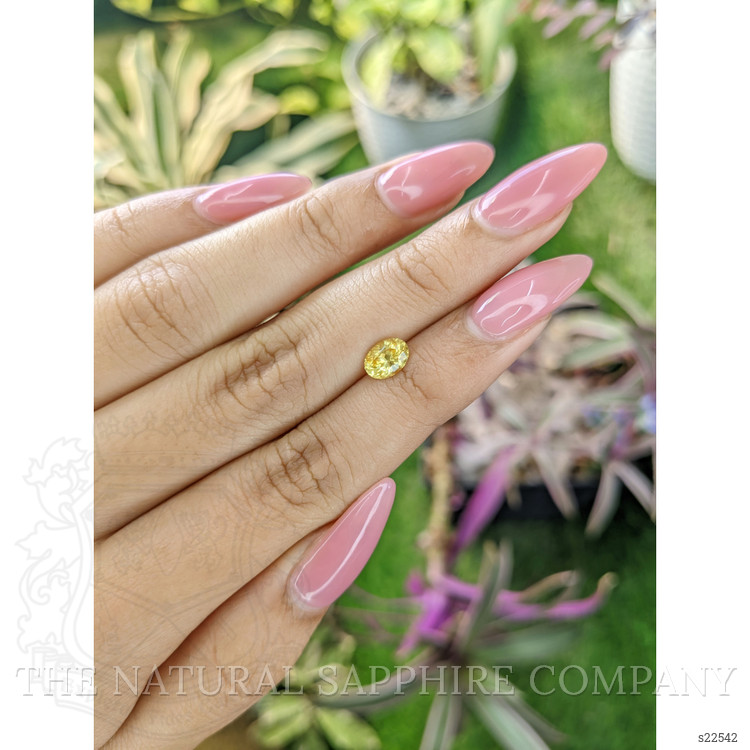 1.02 Ct. Yellow Sapphire from Ceylon (Sri Lanka)