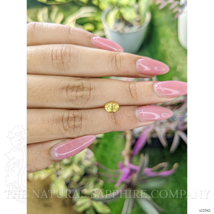 1.02 Ct. Yellow Sapphire from Ceylon (Sri Lanka)