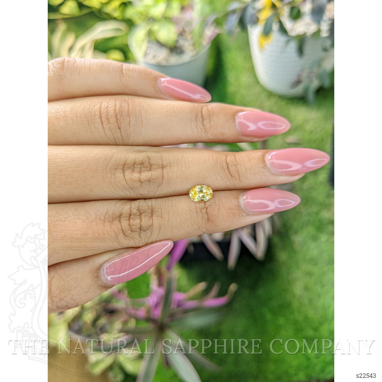 0.89 Ct. Yellow Sapphire from Ceylon (Sri Lanka)