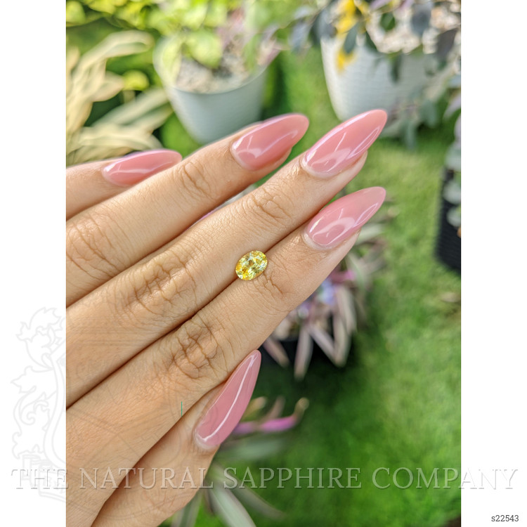 0.89 Ct. Yellow Sapphire from Ceylon (Sri Lanka)