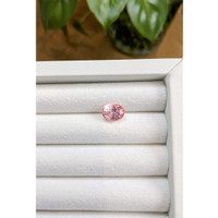 4.09 Ct. Padparadscha Sapphire from Ceylon (Sri Lanka) Life Style