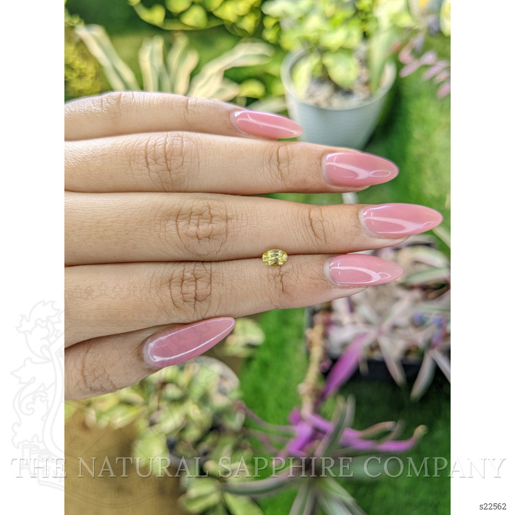 0.47 Ct. Yellow Sapphire from Ceylon (Sri Lanka)