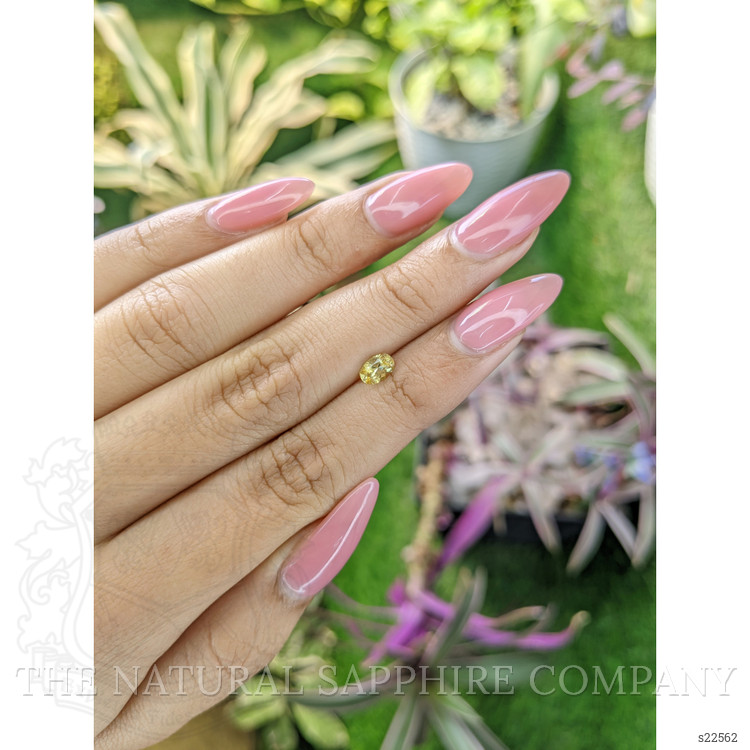 0.47 Ct. Yellow Sapphire from Ceylon (Sri Lanka)