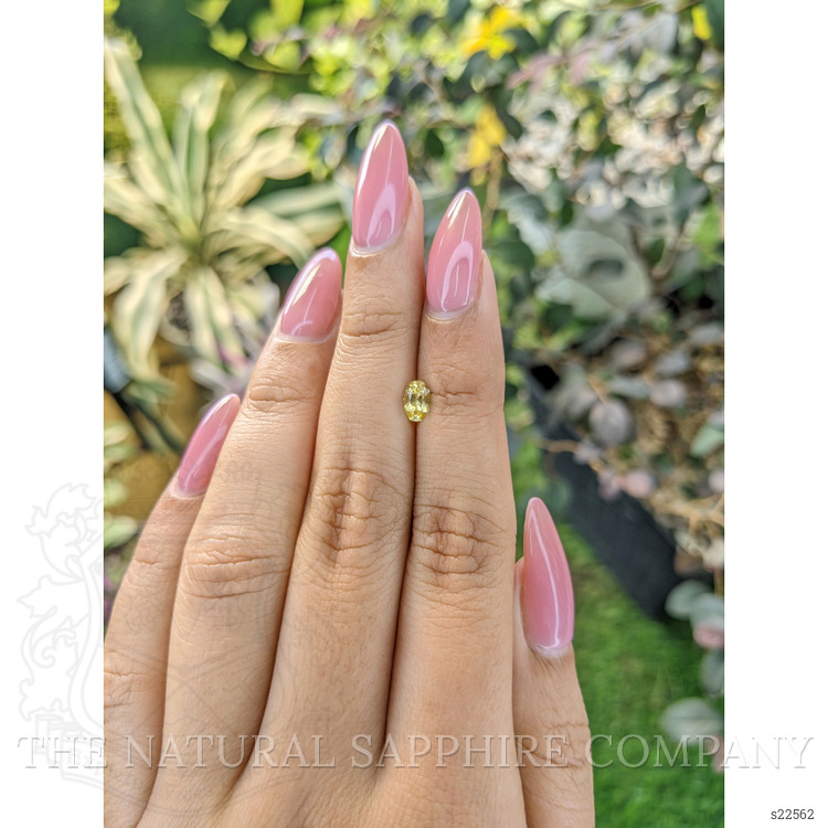 0.47 Ct. Yellow Sapphire from Ceylon (Sri Lanka)