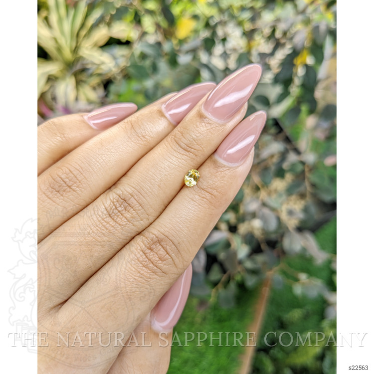 0.38 Ct. Yellow Sapphire from Ceylon (Sri Lanka)