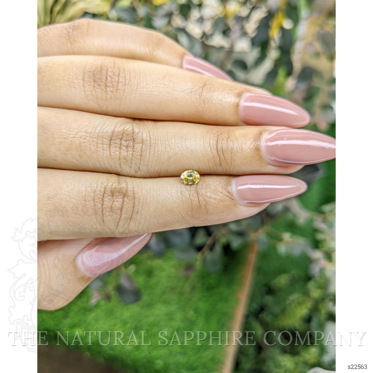 0.38 Ct. Yellow Sapphire from Ceylon (Sri Lanka)