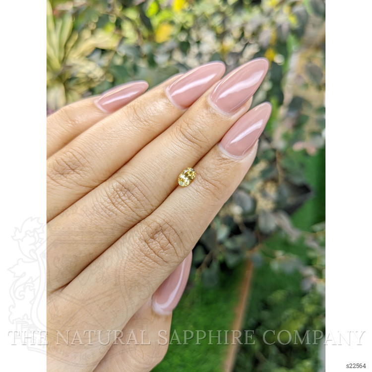 0.53 Ct. Yellow Sapphire from Ceylon (Sri Lanka)