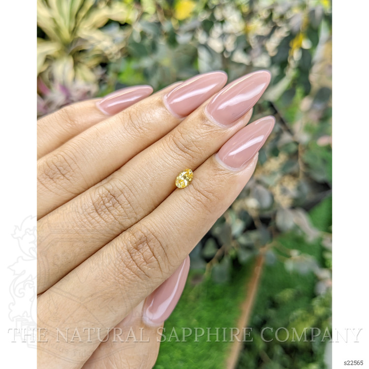 0.45 Ct. Yellow Sapphire from Ceylon (Sri Lanka)