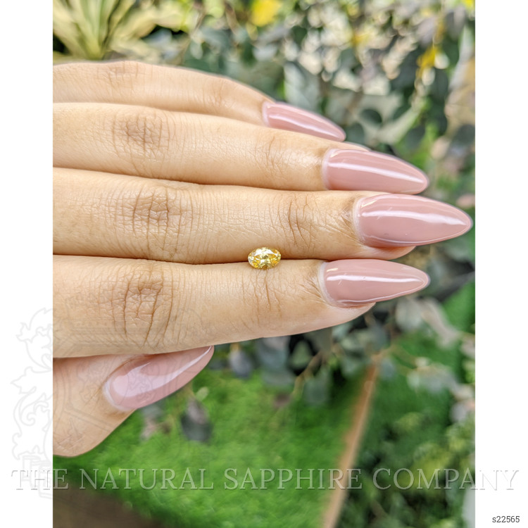 0.45 Ct. Yellow Sapphire from Ceylon (Sri Lanka)