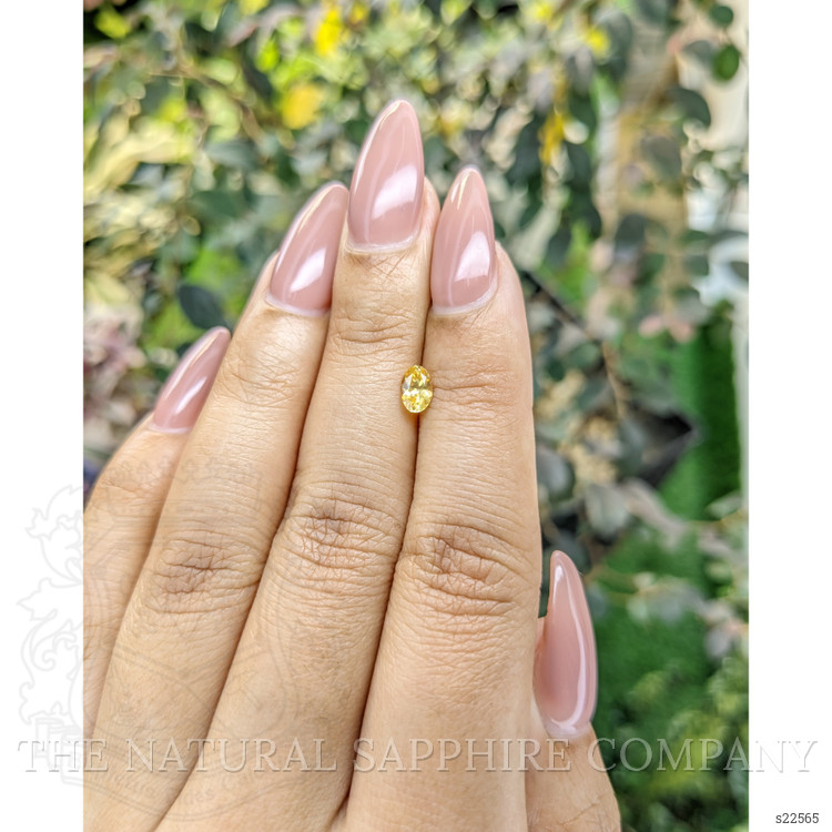 0.45 Ct. Yellow Sapphire from Ceylon (Sri Lanka)