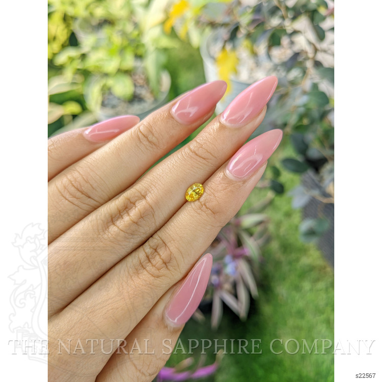 0.61 Ct. Yellow Sapphire from Ceylon (Sri Lanka)