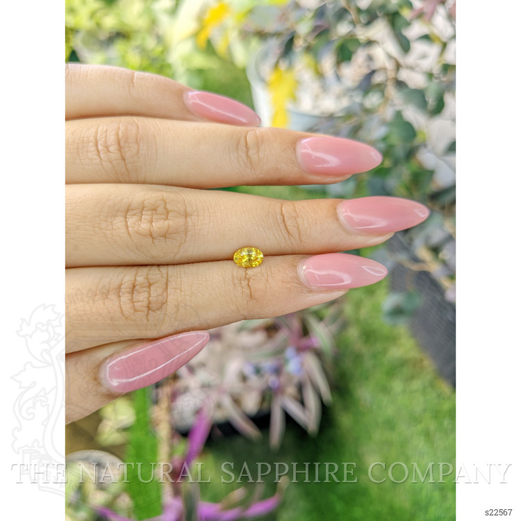 0.61 Ct. Yellow Sapphire from Ceylon (Sri Lanka)