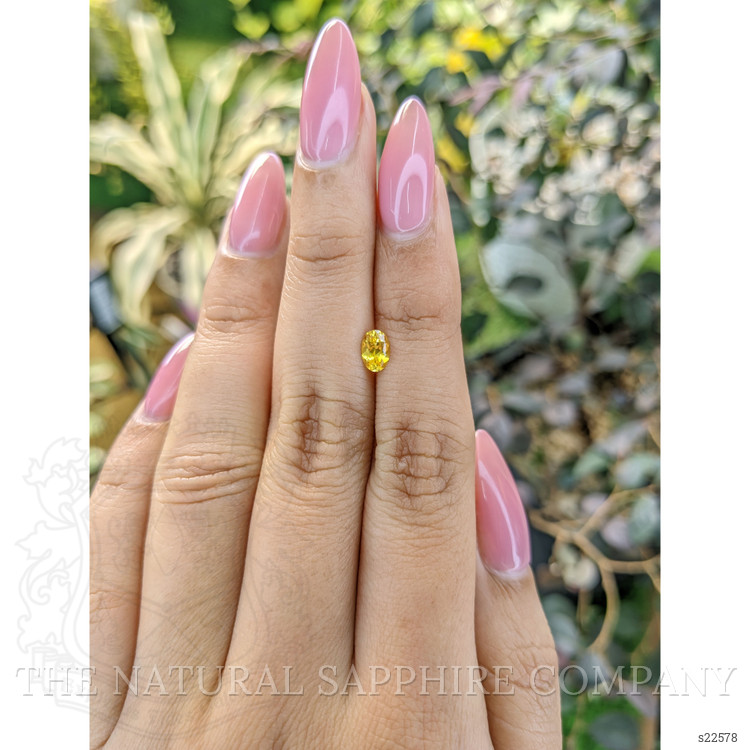 0.54 Ct. Yellow Sapphire from Ceylon (Sri Lanka)