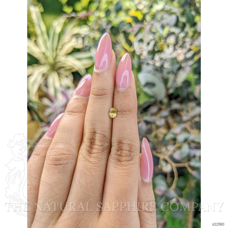 0.45 Ct. Yellow Sapphire from Ceylon (Sri Lanka)