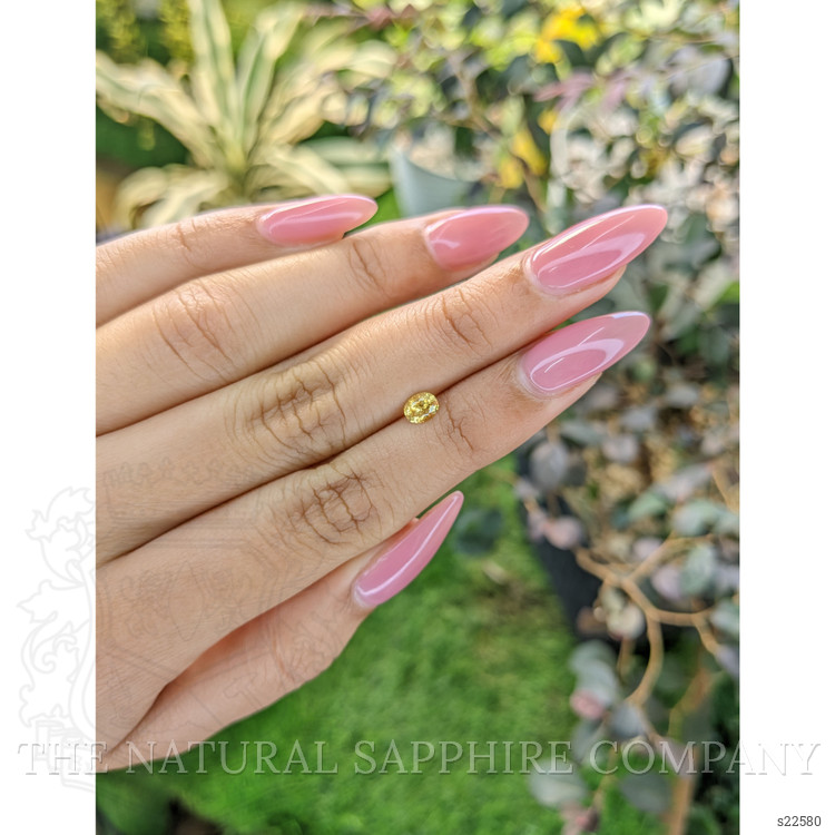 0.45 Ct. Yellow Sapphire from Ceylon (Sri Lanka)