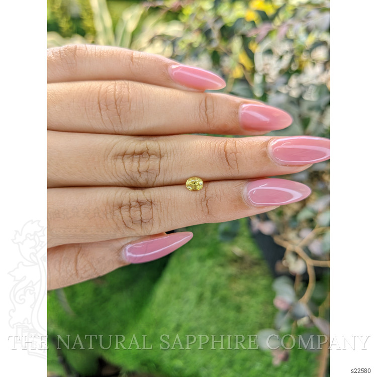 0.45 Ct. Yellow Sapphire from Ceylon (Sri Lanka)