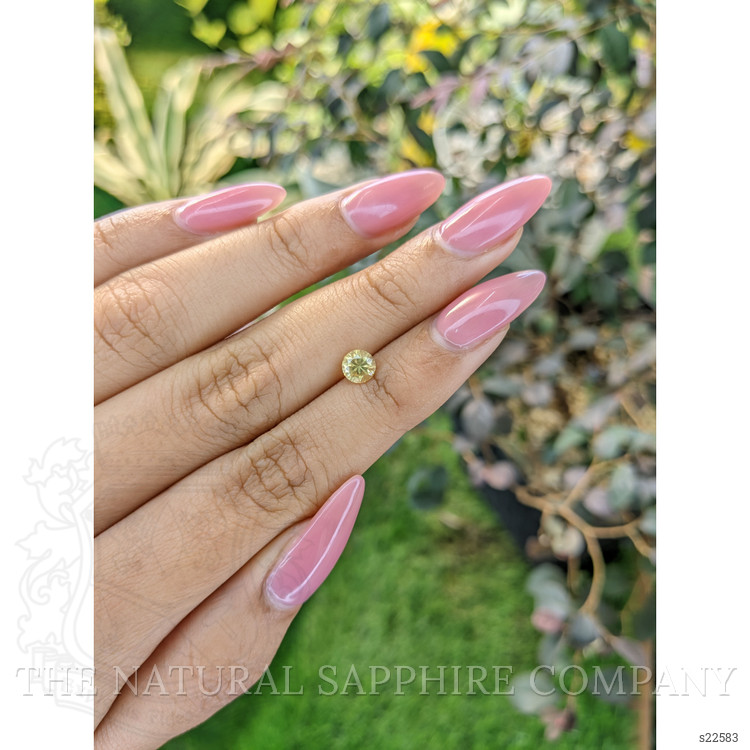 0.62 Ct. Yellow Sapphire from Ceylon (Sri Lanka)