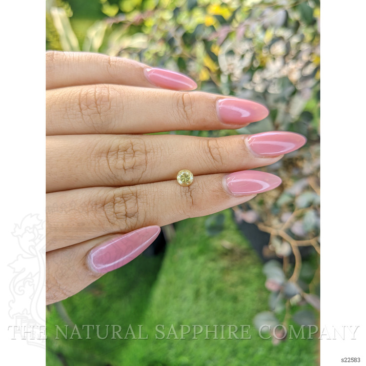 0.62 Ct. Yellow Sapphire from Ceylon (Sri Lanka)