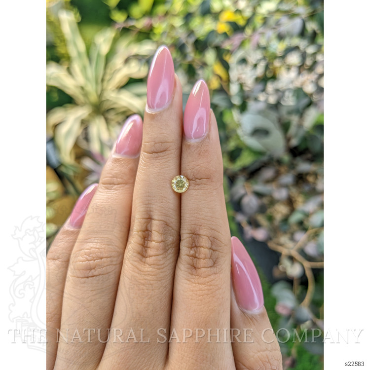 0.62 Ct. Yellow Sapphire from Ceylon (Sri Lanka)