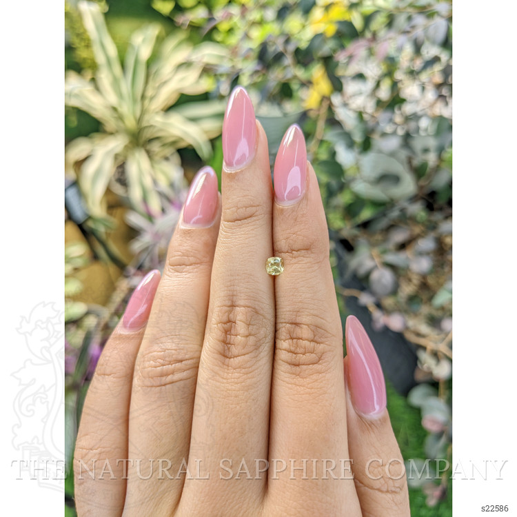 0.34 Ct. Yellow Sapphire from Ceylon (Sri Lanka)