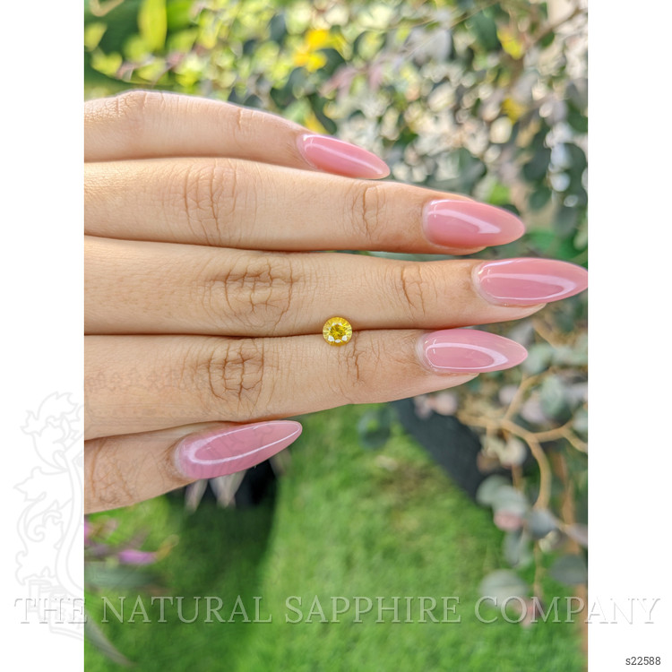 0.61 Ct. Yellow Sapphire from Ceylon (Sri Lanka)