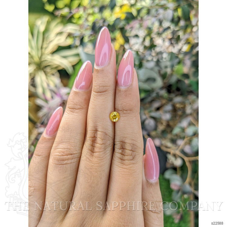 0.61 Ct. Yellow Sapphire from Ceylon (Sri Lanka)