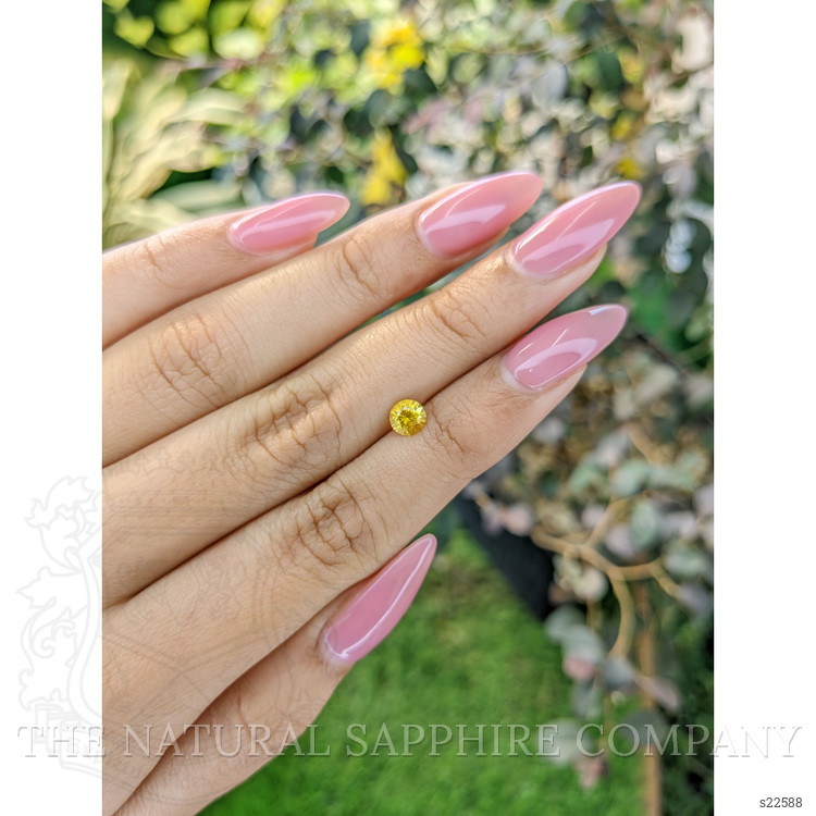 0.61 Ct. Yellow Sapphire from Ceylon (Sri Lanka)