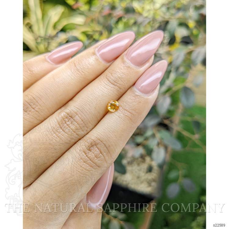 0.56 Ct. Orangish Yellow Sapphire from Ceylon (Sri Lanka)