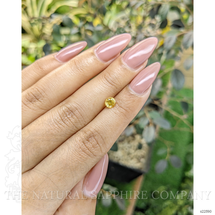 0.62 Ct. Yellow Sapphire from Ceylon (Sri Lanka)