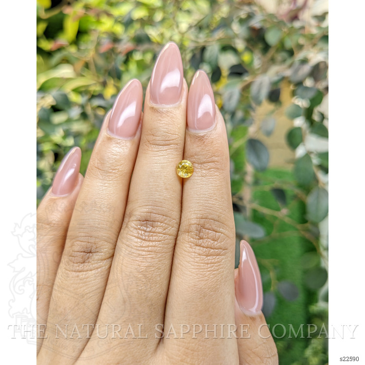 0.62 Ct. Yellow Sapphire from Ceylon (Sri Lanka)