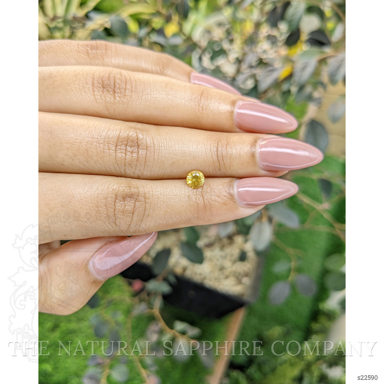 0.62 Ct. Yellow Sapphire from Ceylon (Sri Lanka)