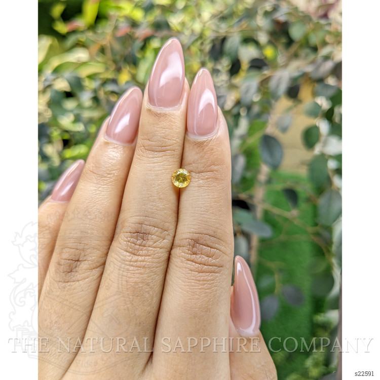 0.59 Ct. Yellow Sapphire from Ceylon (Sri Lanka)
