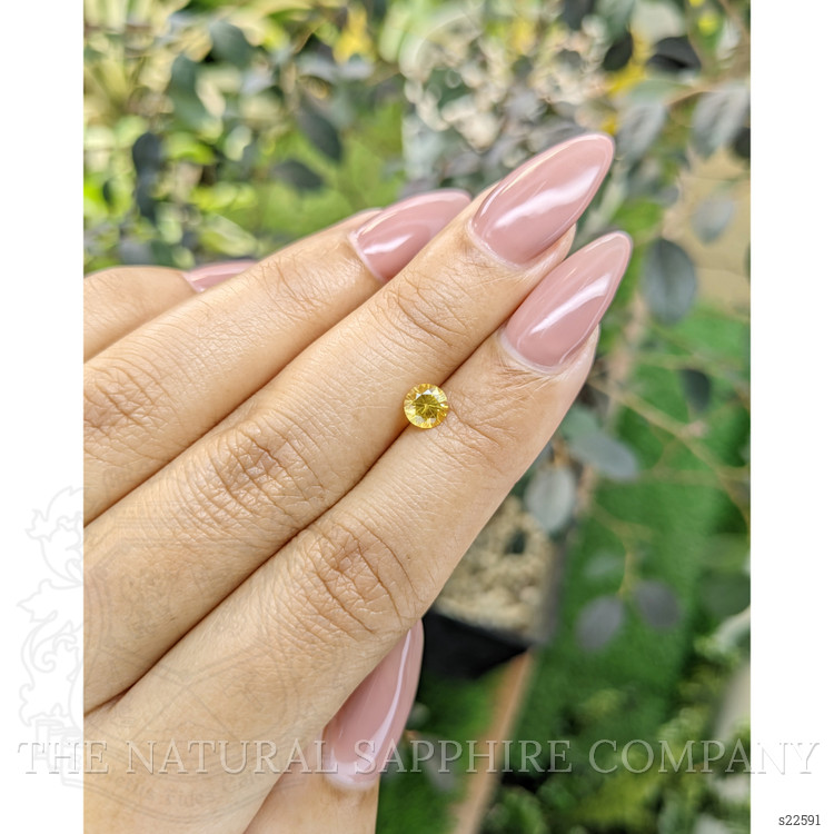 0.59 Ct. Yellow Sapphire from Ceylon (Sri Lanka)