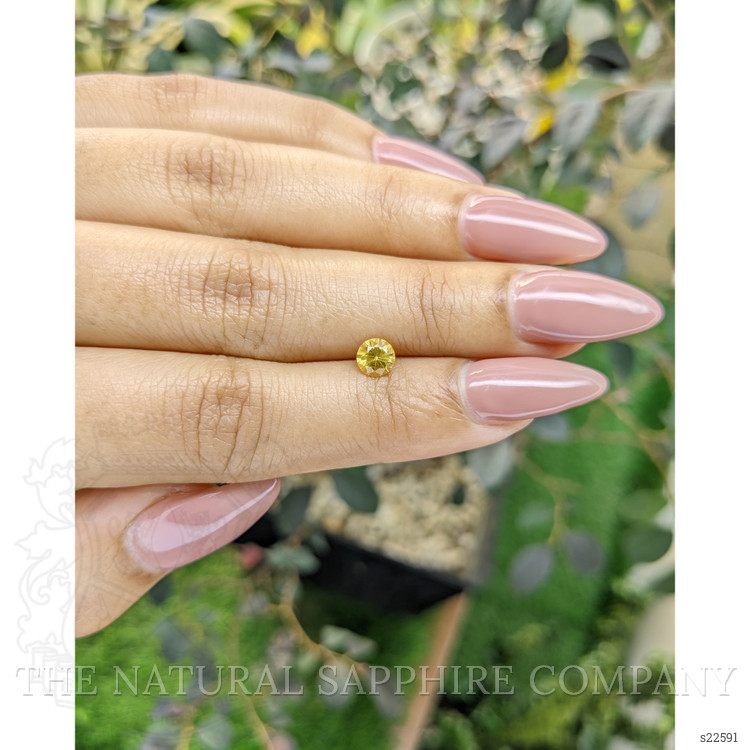 0.59 Ct. Yellow Sapphire from Ceylon (Sri Lanka)