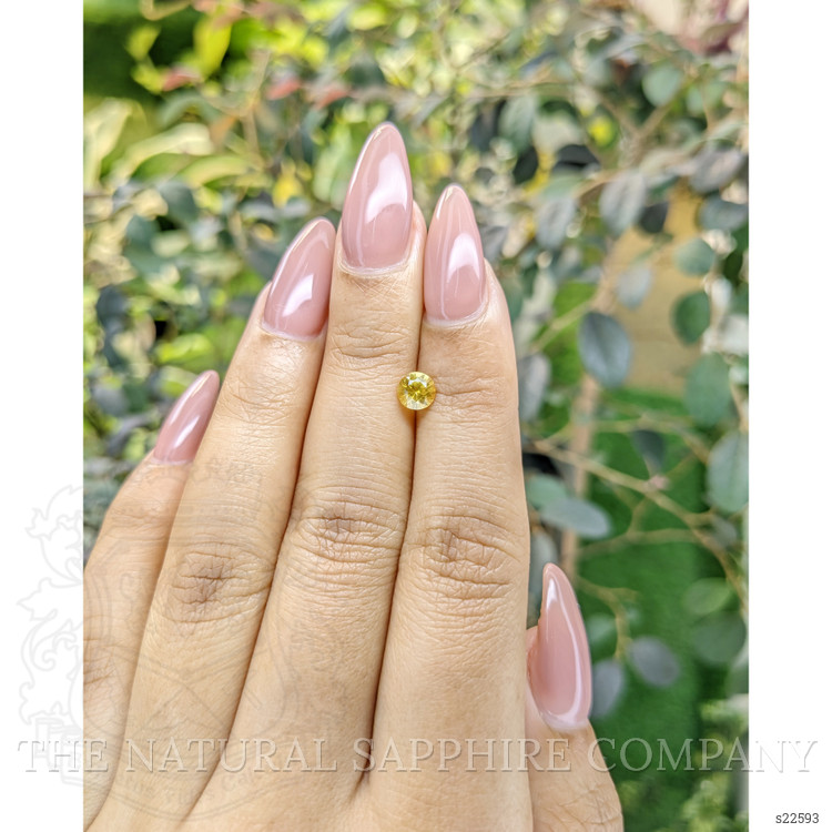 0.67 Ct. Yellow Sapphire from Ceylon (Sri Lanka)