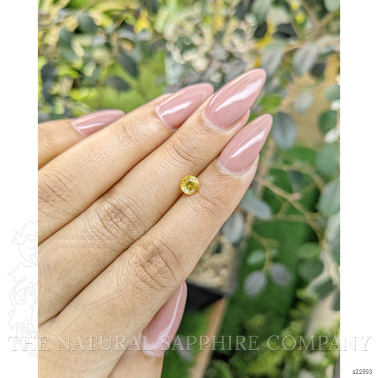 0.67 Ct. Yellow Sapphire from Ceylon (Sri Lanka)