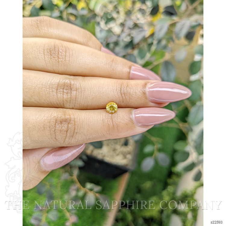 0.67 Ct. Yellow Sapphire from Ceylon (Sri Lanka)