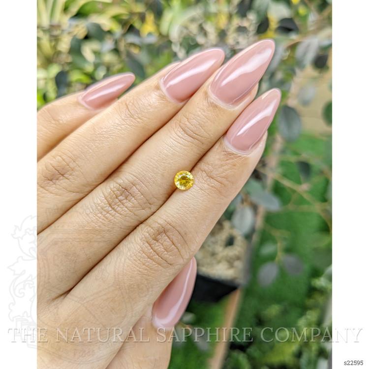 0.64 Ct. Yellow Sapphire from Ceylon (Sri Lanka)