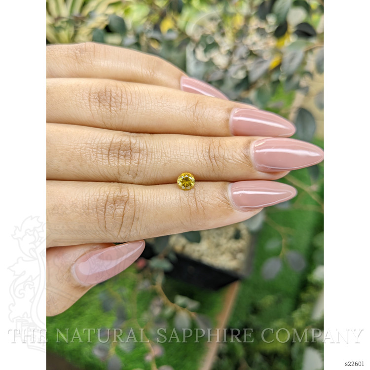 0.57 Ct. Yellow Sapphire from Ceylon (Sri Lanka)