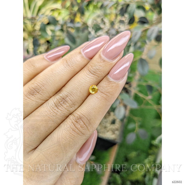 0.61 Ct. Orangish Yellow Sapphire from Ceylon (Sri Lanka)