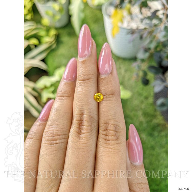 0.59 Ct. Yellow Sapphire from Ceylon (Sri Lanka)