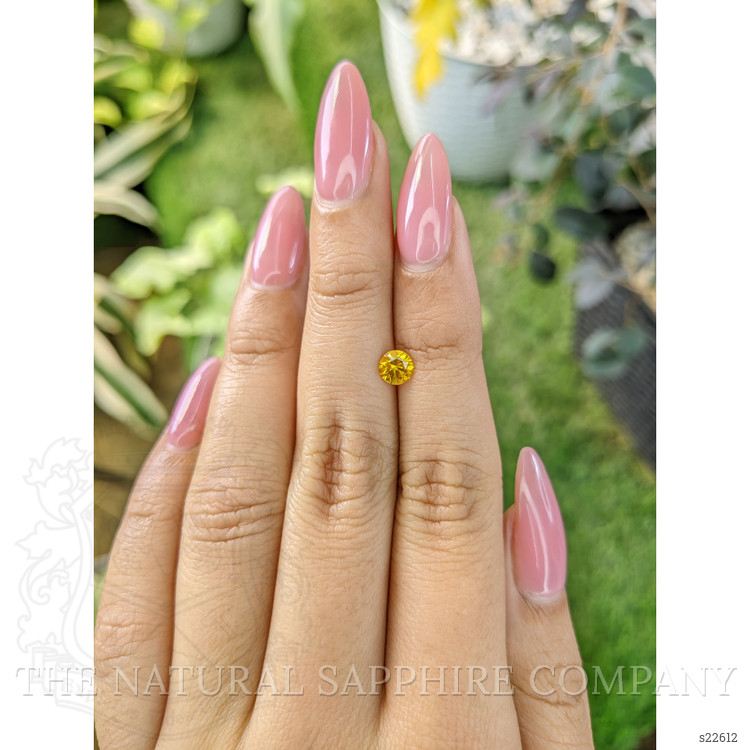 0.59 Ct. Yellow Sapphire from Ceylon (Sri Lanka)