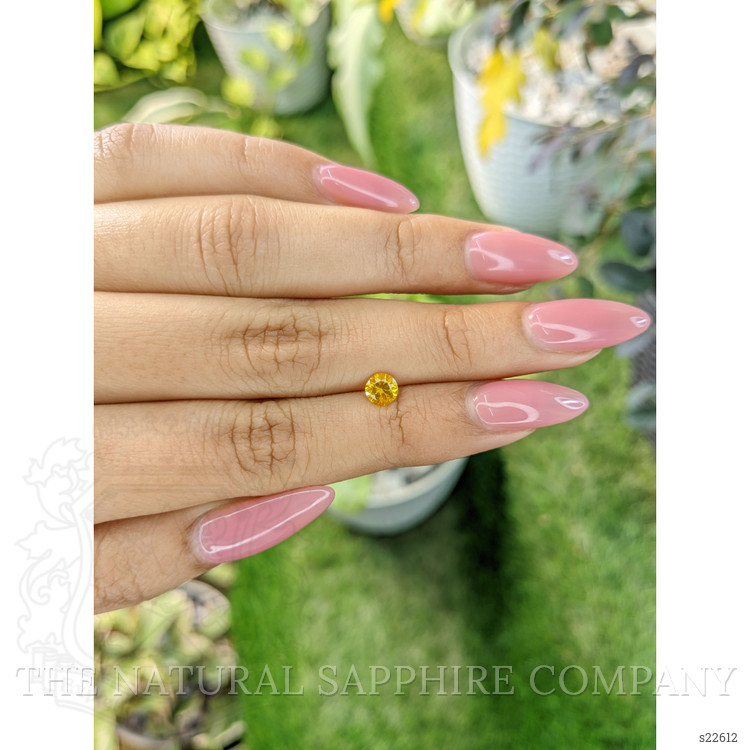 0.59 Ct. Yellow Sapphire from Ceylon (Sri Lanka)
