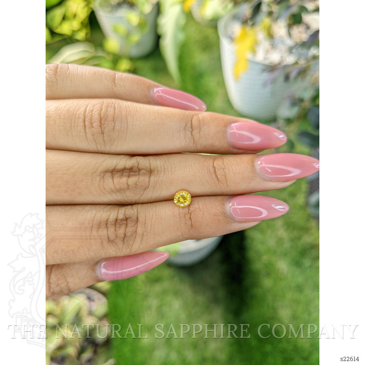 0.57 Ct. Yellow Sapphire from Ceylon (Sri Lanka)