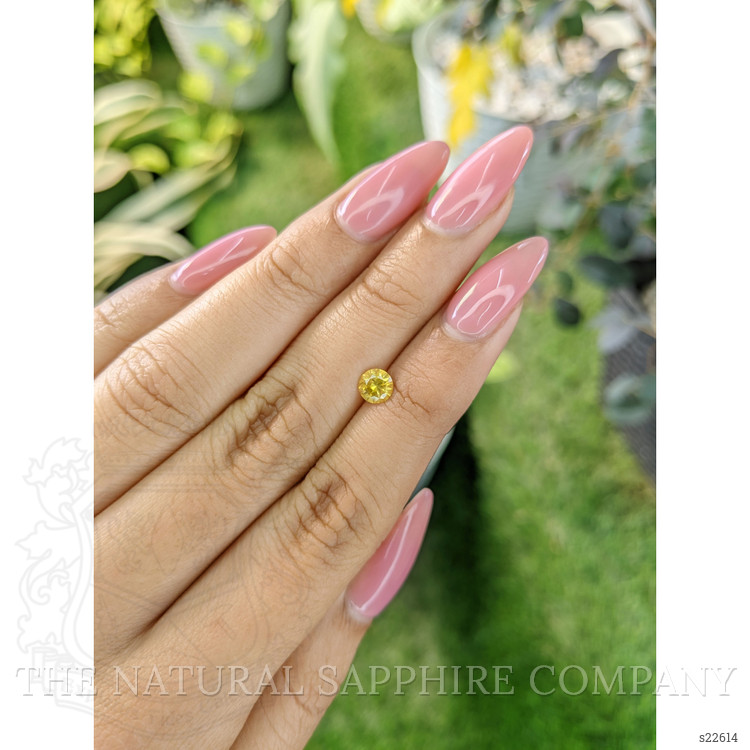 0.57 Ct. Yellow Sapphire from Ceylon (Sri Lanka)