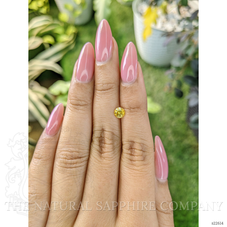 0.57 Ct. Yellow Sapphire from Ceylon (Sri Lanka)